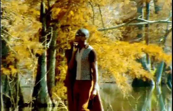 Lynden David Hall - Do I Qualify? (Darc Radio Edit) (1997) - Official music video / videoclip