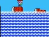 Super Mario Bros 2 Glitches