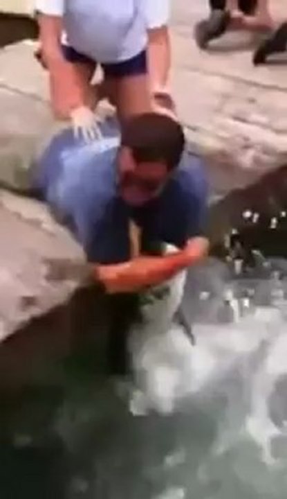 Pez gigante le come la mano a un hombre