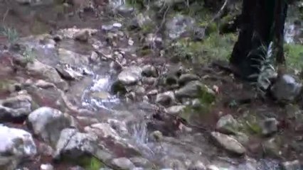 Gökdere kanyonunda Su terapisi 13.01.2013