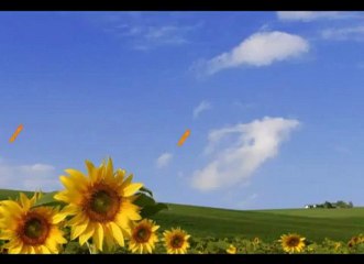 MÁY CƯA ĐÁ [MÁY CẮT ĐÁ] [MÁY XẺ NƯỚC ĐÁ]