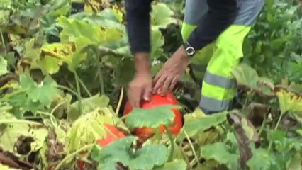 Rétrospective : L'envers du Décors - année 2012