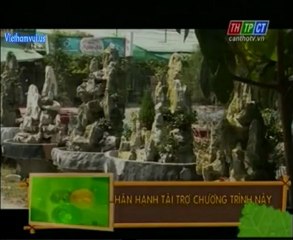 Viethamvui CTPho 2 D2__4