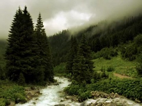 Özlem Özdil -Dere Kenarinda Tas Ben Olaydim 2012