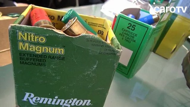 Icaro Tv. Animali uccisi in trappola, operazione della Forestale