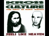 Kross Culture - Feels Like Heaven (Radio Edit)
