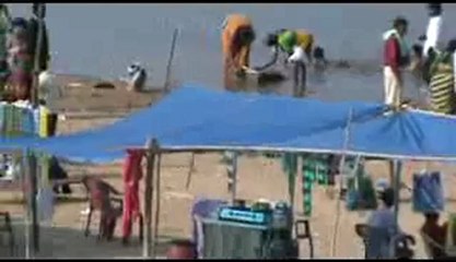 WOMEN TAKING HOLY BATH .....