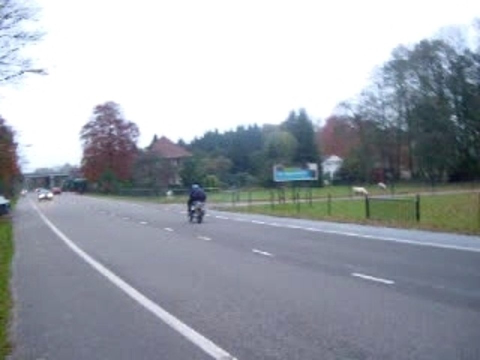 Nitro Scooter