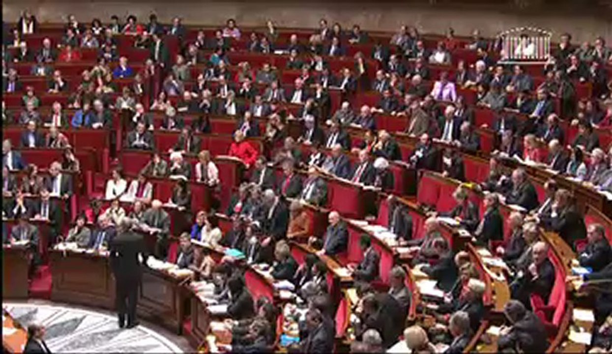 Les députés UMP scandent "Référendum! Référendum!" à l'Assemblée nationale