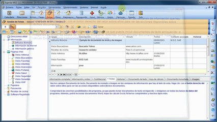 Agenda MSD: cómo editar campos de texto a pantalla completa