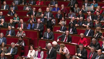Mariage gay: "Référendum !" scande l'UMP à l'Assemblée