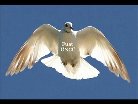 ''Bozcaada-Hotel Fahri''sunar: Fuat ÖNCÜ (sessiz dizeler)