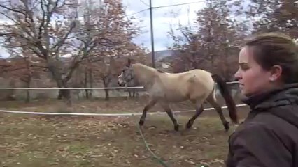 14 janvier 2013 Véo detente (2)