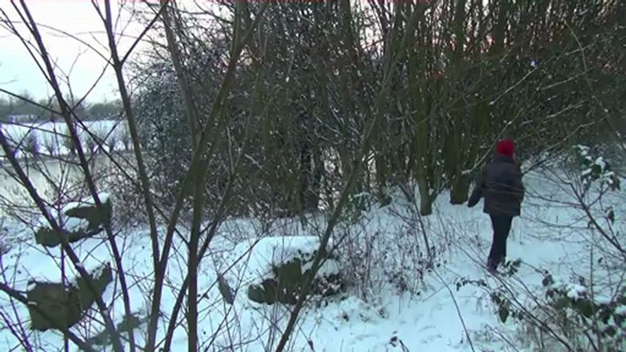 Winter in der Rheinaue