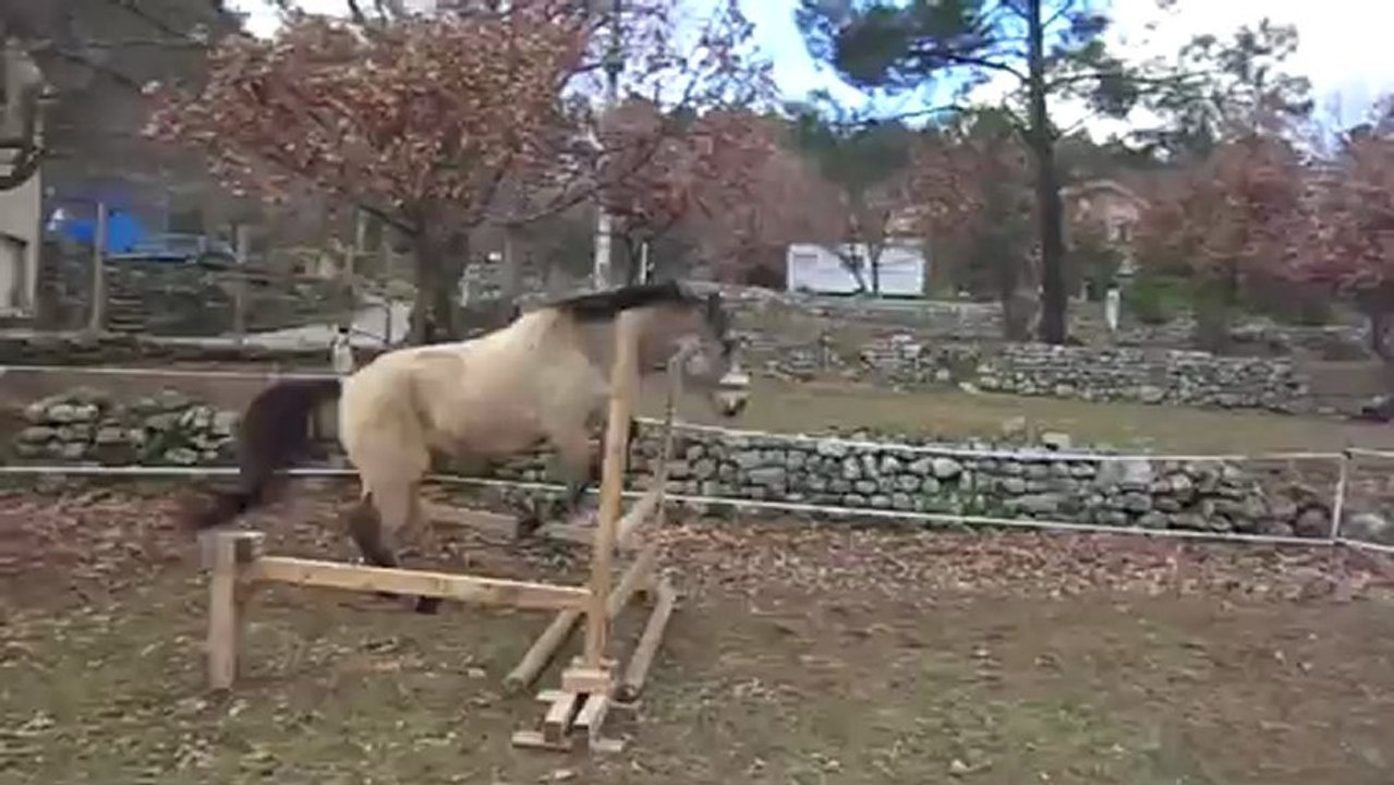 14 janvier 2013 saut en liberté Véo (7)