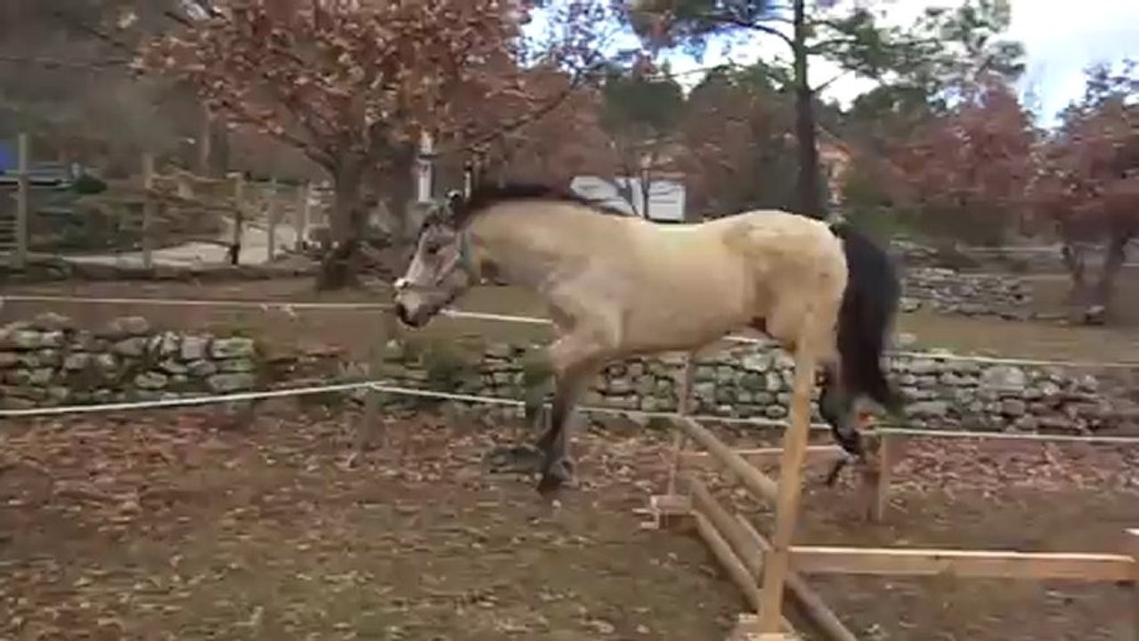 14 janvier 2013 séance saut liberté Véo (8)