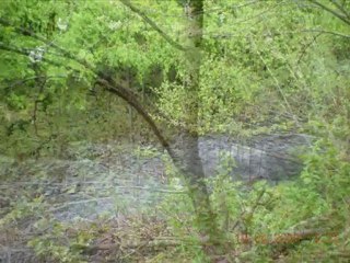 (EXSALTARE SEÑOR) MARCOS  BARRIENTOS