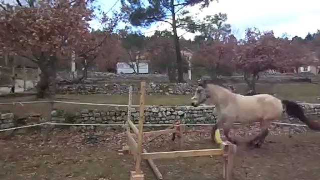 14 janvier 2013 dernier passage saut en liberté Véo (10)
