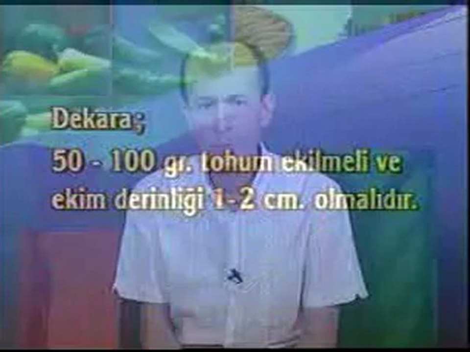 4DY
