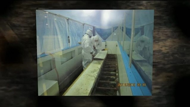 Mold Removal Toronto - Toronto's Mold Removal and Mold Inspection Experts