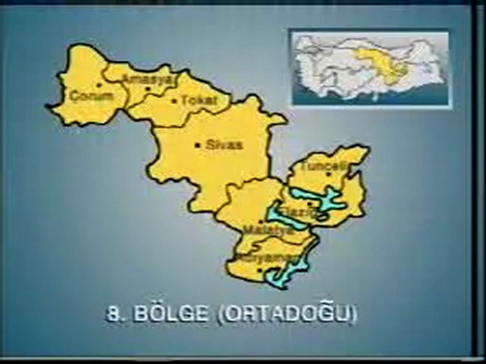1SBVİT