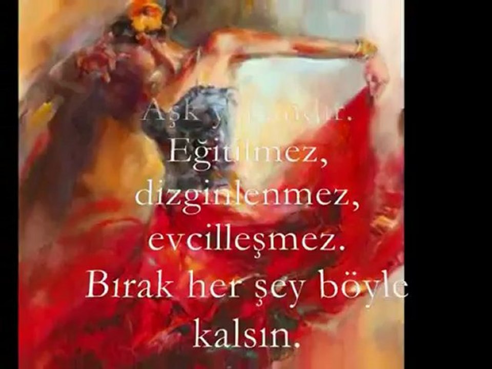 Nilgün Budak // Aşk Yabandır