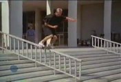 Street Skating 101: Natas Kaupas