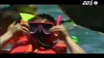 Du lịch Cù Lao Chàm - Hội An Green Travel