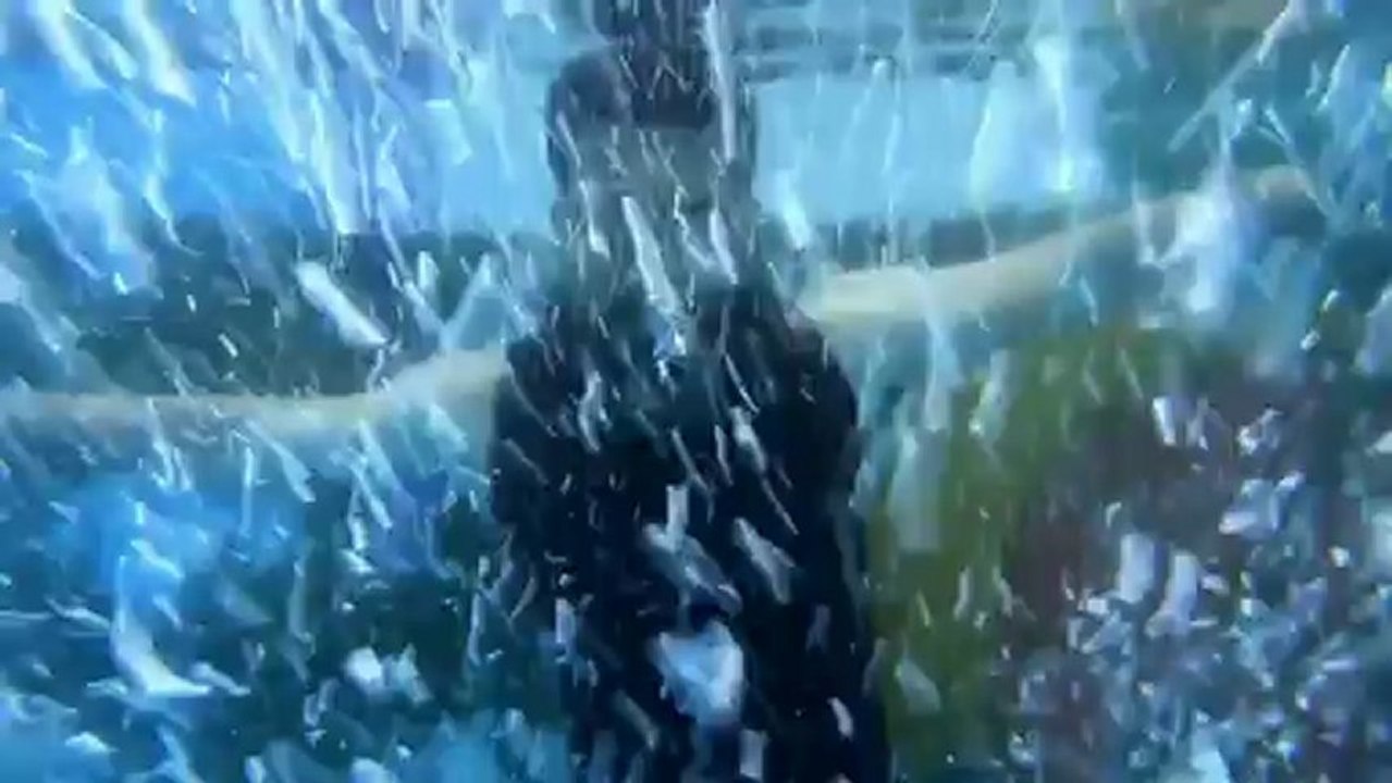 Jai Sriram -Trailer (uday kiran)