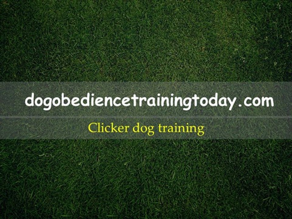clicker dog training