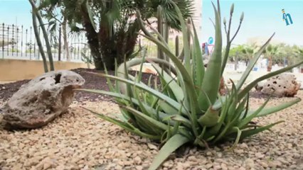 Alicante - Hotel Castilla Alicante (Quehoteles.com)