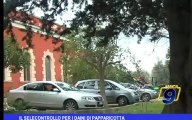 Il selecontrollo per i daini di Papparicotta