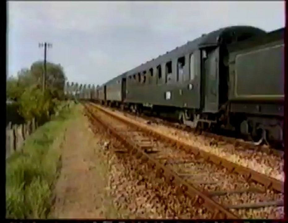 231G558