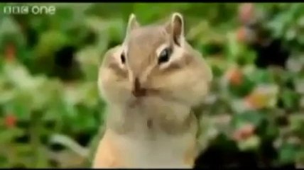 FuLL Time MaSTI Non SToP FuN's Videos