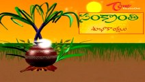 Happy Makar Sankranti Wishes - Pongal 2013 Greetings