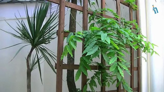 Londres - Hotel Huttons (Quehoteles.com)