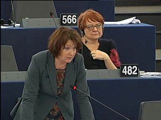 Hélène Flautre : actualité en Syrie
