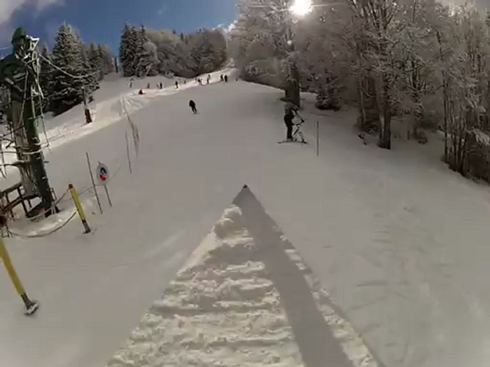 Titi à snowscoot dans les sapins