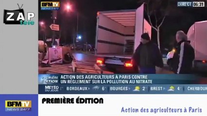 Zapping Actu du 17 Janvier 2013 - Soutien à la France sur le conflit malien, Crash d'un hélico à Londres