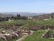 Décollage immédiat : Jerash, cité romaine orientale