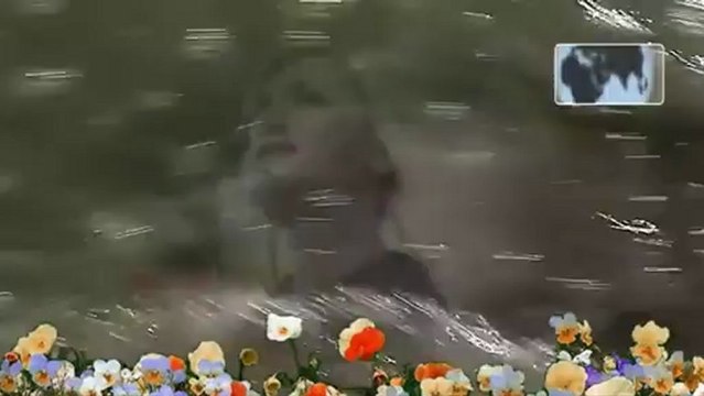 Günce Yorgancılar ♪ Denize Çiçek At