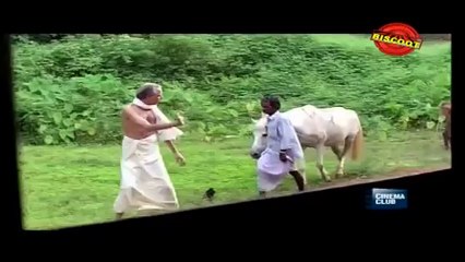 Vadhu Doctoranu (Comedy Scene) Jagathy, Jayaram, KPSC Lalitha