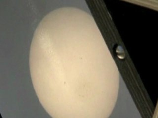 Passage de Vénus entre la Terre et le Soleil : un phénomène exceptionnel observé partout dans le monde