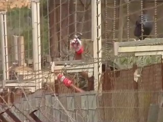 Israël construit un mur à la frontière libanaise