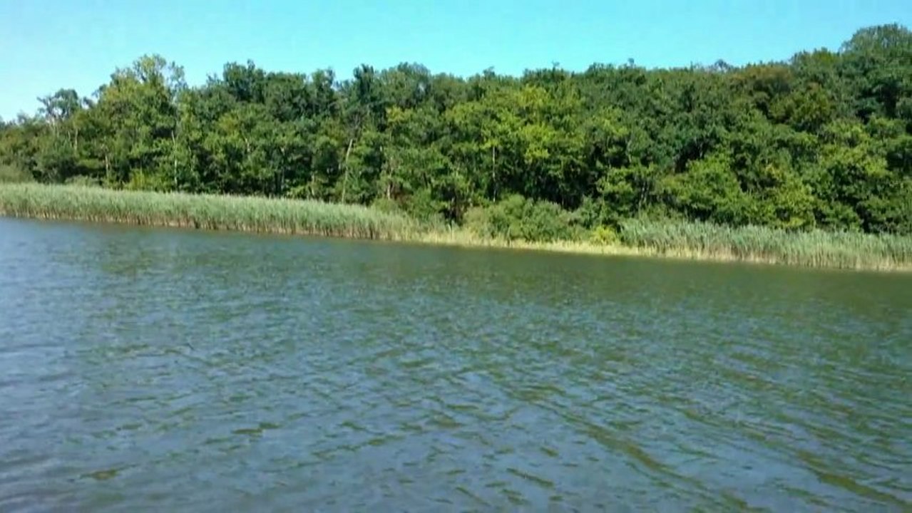 Journée de peche à l'etang de Diefenbach.
