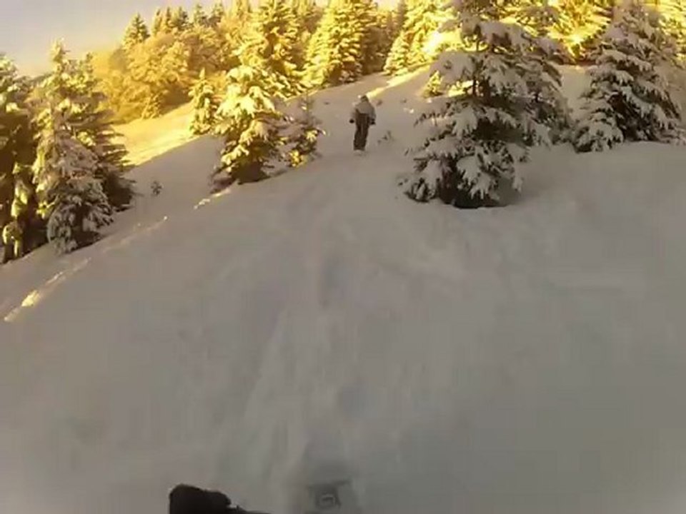 Titi à snowscoot dernier tour dans les sapins