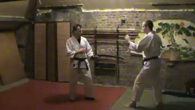 (gedan) ko mawashi geri : sokutei osae uke