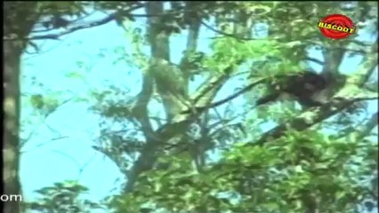 Ithikarapakki:(Comedy Scene) Aalamoodan, Adoor Bhasi