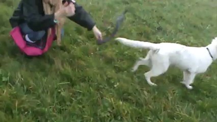 entrainement de recherche utilitaire avec un  bb >> B.B.S