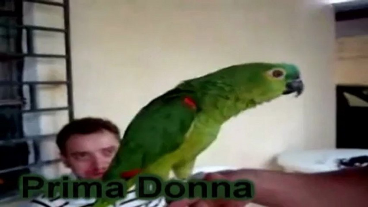 Living with Animals